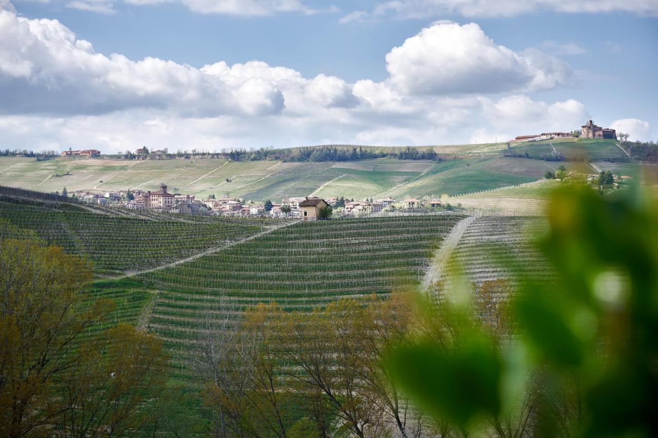 Agriturismo Cascina Sciulun Monforte dʼAlba Εξωτερικό φωτογραφία
